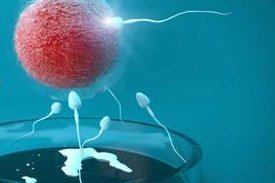 日本民间机构做需要多少钱三代试管婴儿？