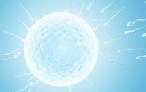 2026年南宁试管助孕生孩子的医院有哪些？附生孩子医院排名