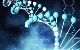 齐齐哈尔三代试管助孕生孩子医院——齐齐哈尔市第一医院