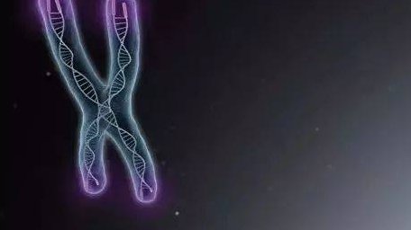 2026年黄冈哪家医院可以接三代试管？