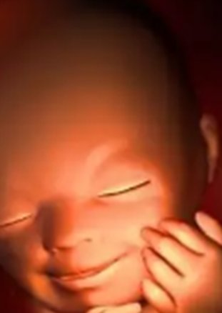 北京助孕成功率揭秘：2026年专业助孕机构大盘点