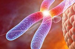 湛江三大助孕公司：创先服务、关爱不孕不育家庭